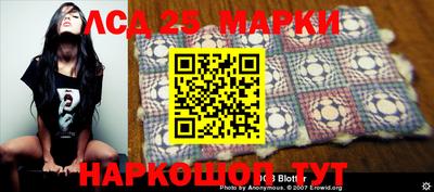 винт Бердск
