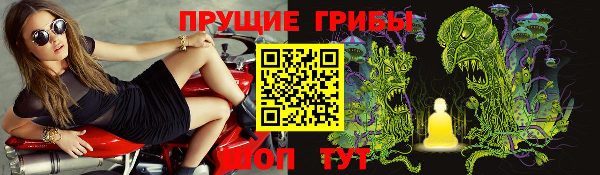 Дивногорск  Галлюциногенные грибы GOLDEN TEACHER  наркотики  Вход с VPN 